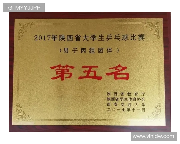 成都乒乓球队耐力对比深度解析及其对比赛表现的影响