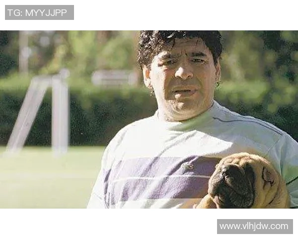 传奇足球明星绰号猎犬的辉煌历程与不屈精神解析