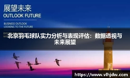 北京羽毛球队实力分析与表现评估：数据透视与未来展望